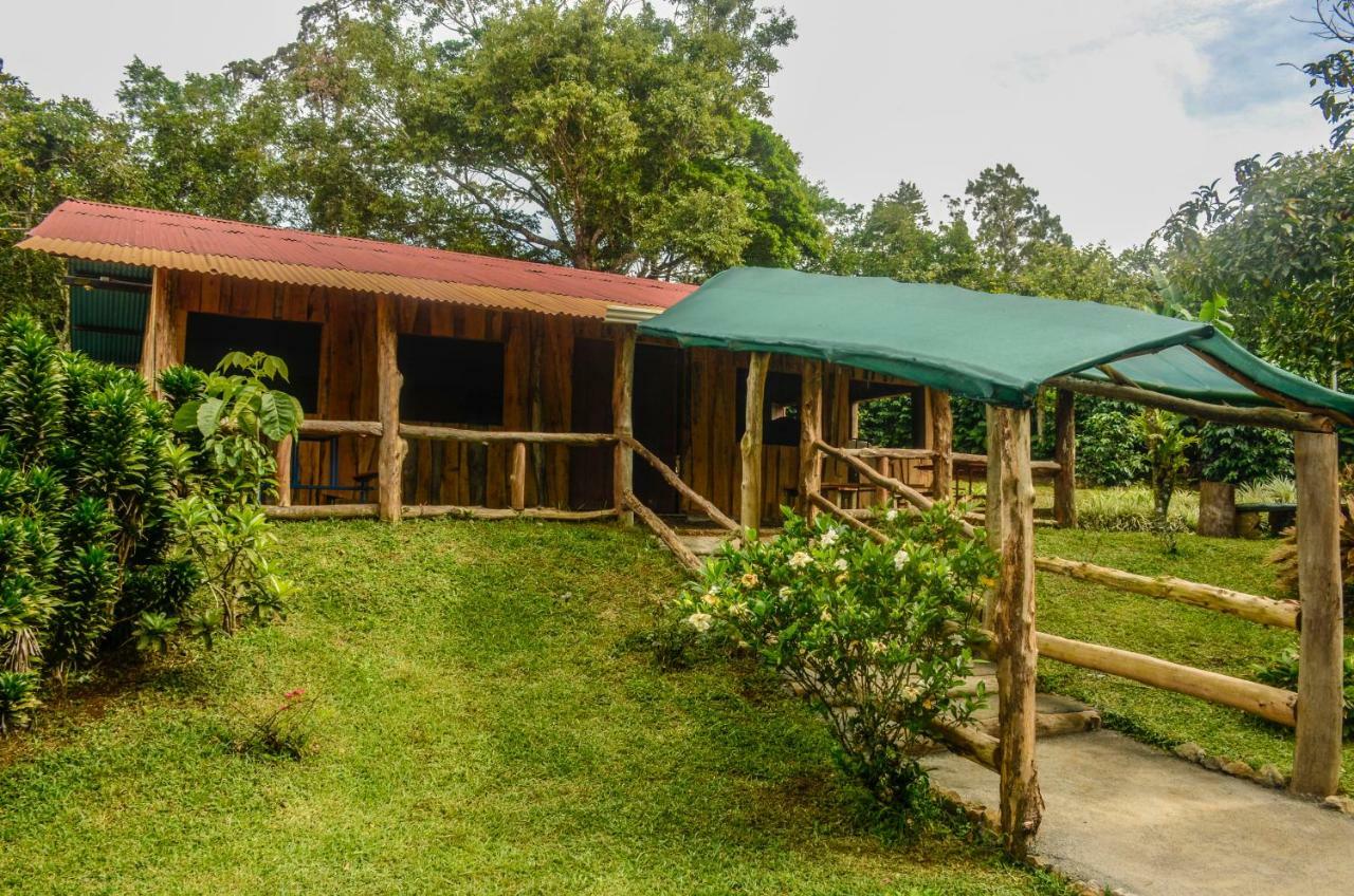 Batsu Ecolodge & Coffee Farm San Ramón Екстериор снимка