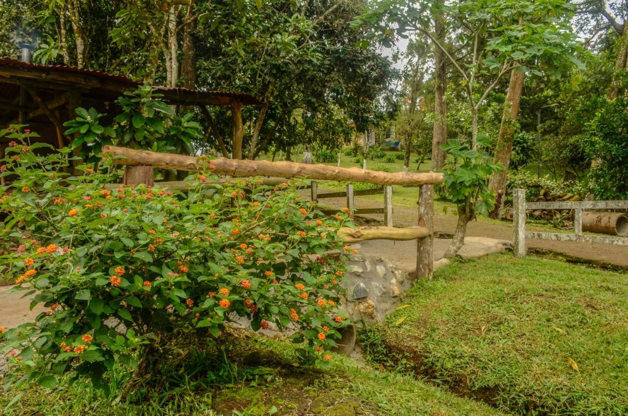 Batsu Ecolodge & Coffee Farm San Ramón Екстериор снимка